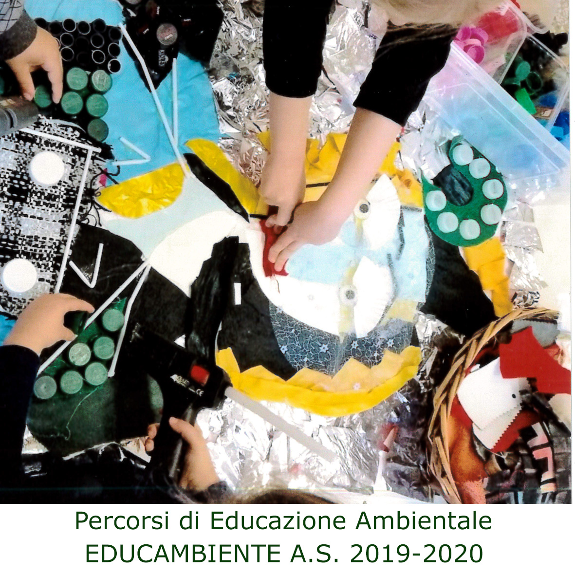 Percorsi didattici di Educazione Ambientale (EDUCAMBIENTE A.S. 2019-2020)