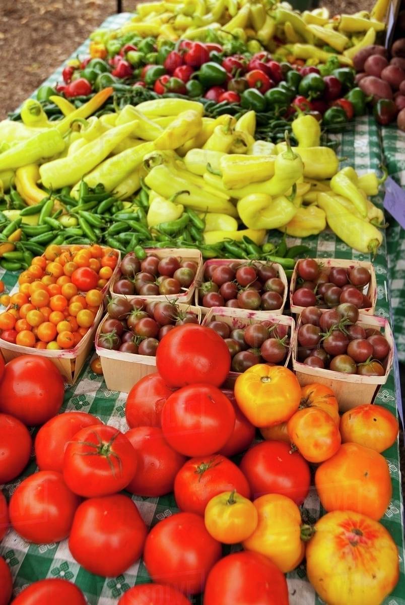 Riapertura Mercatino ortofrutticolo in Piazza SS. Innocenzo e Fiorentino