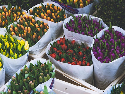 Ammessa anche la vendita di prodotti agricoli ai mercati