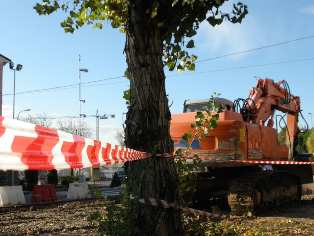 Via della Repubblica: dal 19 al 23 febbraio divieti di transito e sosta per potatura alberi