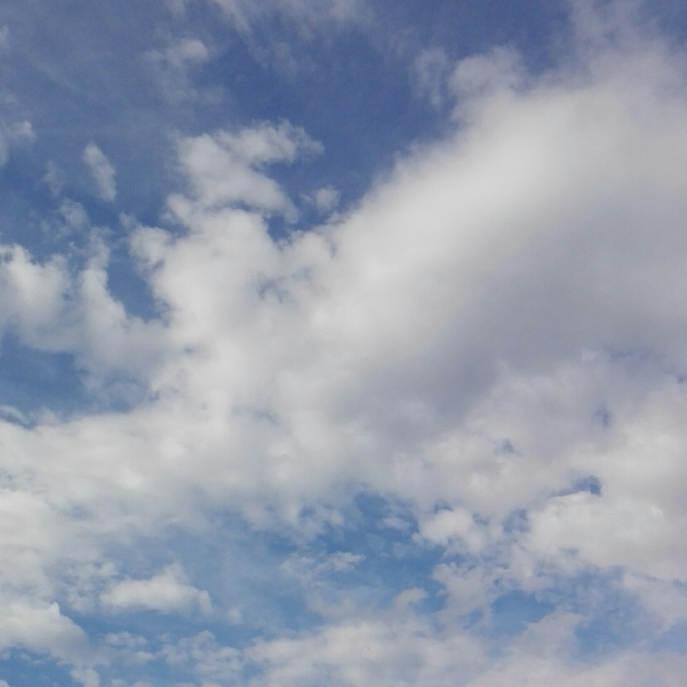 Meteo, vento. Allerta gialla martedi 19 marzo
