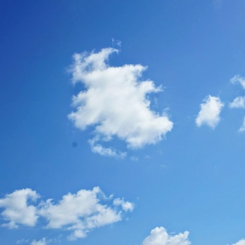 Meteo, vento - Continua la criticità gialla fino a giovedì 21 marzo