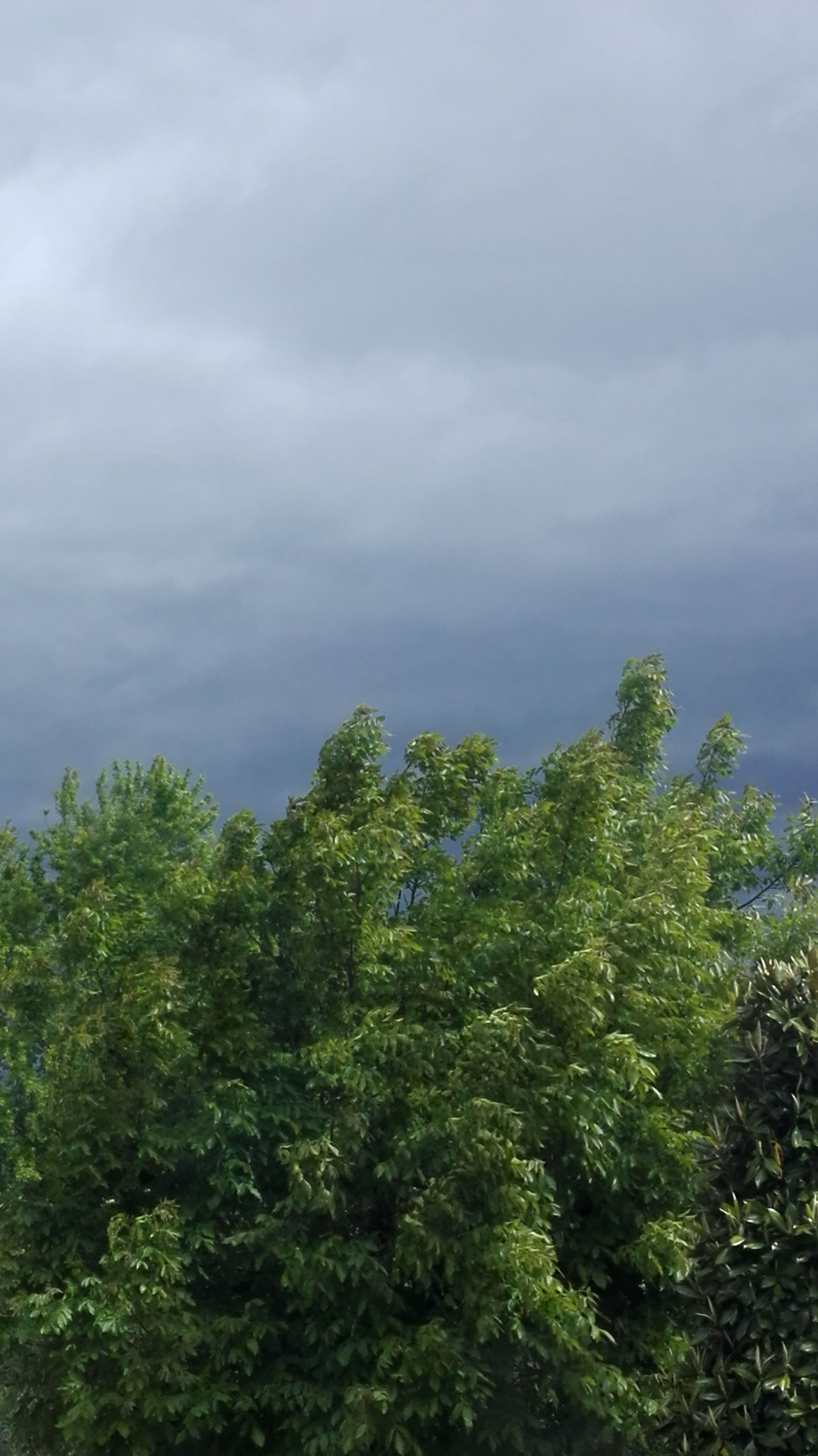 Meteo, vento. Allerta gialla martedi 14 maggio